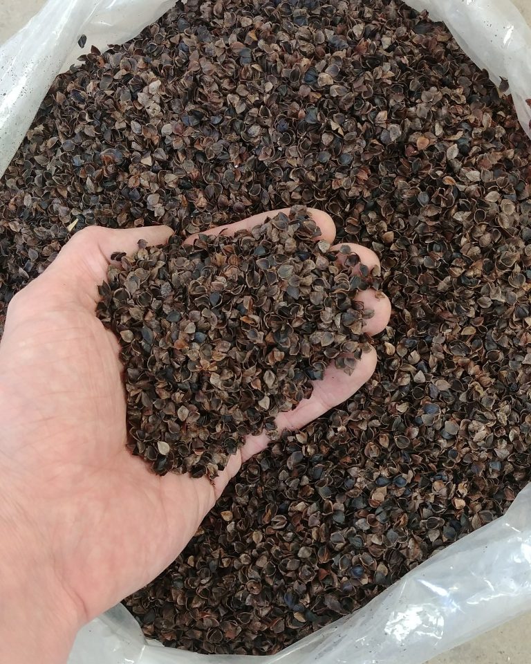 Buckwheat Hulls 20L Indoor Organics